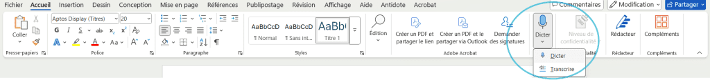 Dicter - Microsoft Word